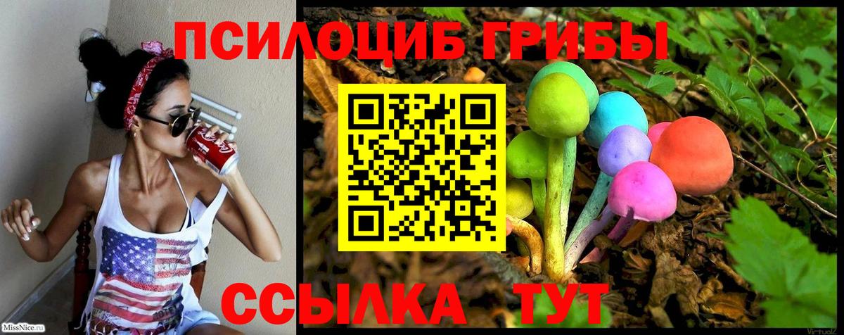 Псилоцибиновые грибы Magic Shrooms Саратов